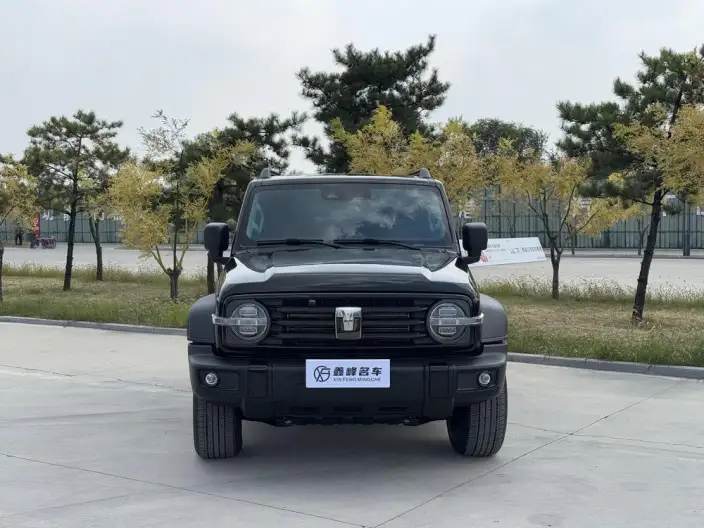 Tank 300 2024 Model 2.0T Challenger