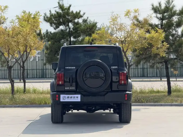 Tank 300 2024 Model 2.0T Challenger – фото 5