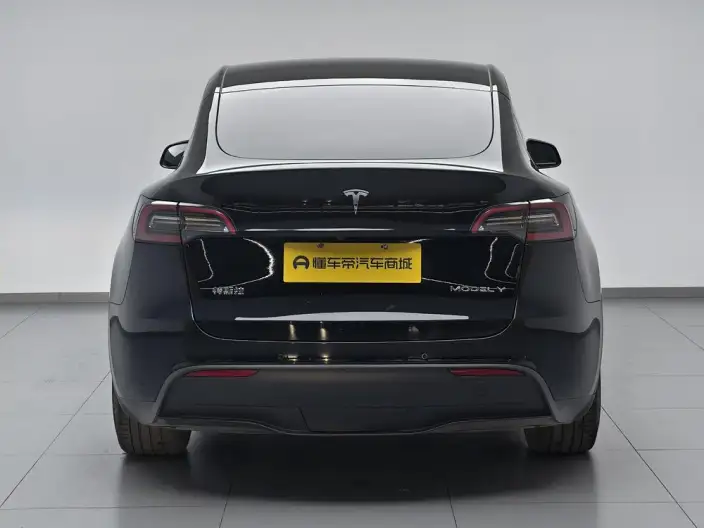 Model Y 2022 Model Facelift Rear-wheel drive version – фото 6