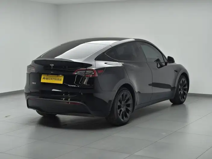 Model Y 2022 Model Facelift Rear-wheel drive version – фото 7