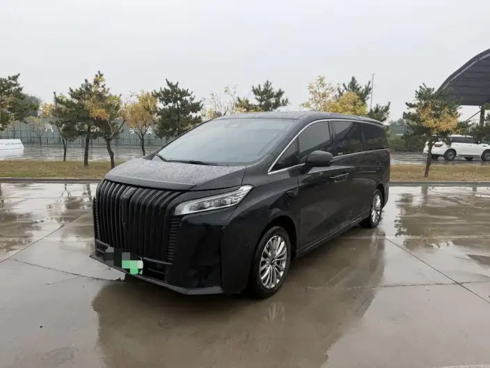 Wey Gaoshan P HEV 2023 Model 4WD Executive Extended Edition – фото 1