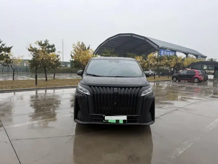 Wey Gaoshan P HEV 2023 Model 4WD Executive Extended Edition – фото 2