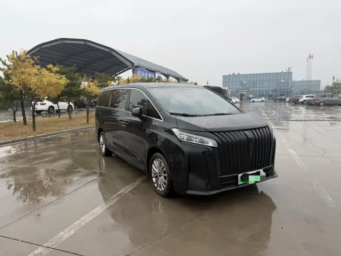 Wey Gaoshan P HEV 2023 Model 4WD Executive Extended Edition – фото 3