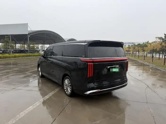 Wey Gaoshan P HEV 2023 Model 4WD Executive Extended Edition – фото 4
