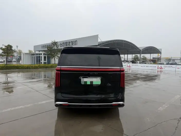 Wey Gaoshan P HEV 2023 Model 4WD Executive Extended Edition – фото 5