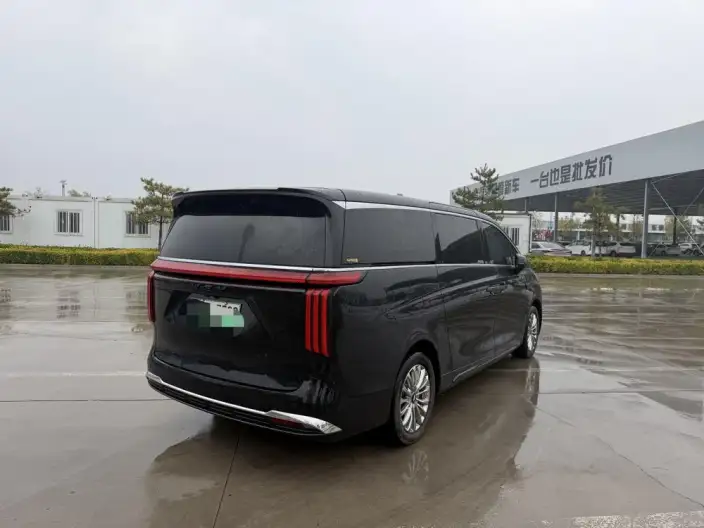 Wey Gaoshan P HEV 2023 Model 4WD Executive Extended Edition – фото 6