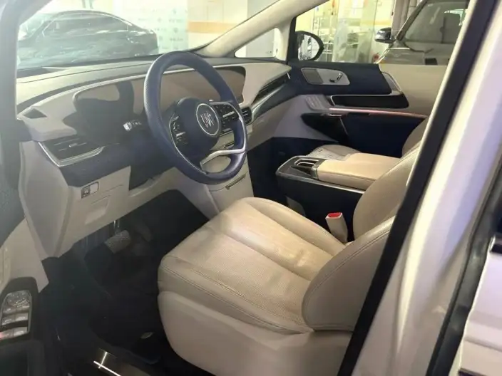 Century 2023 Model 2.0T VI seat Yunshi Edition – фото 9