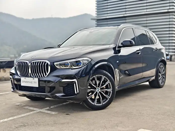 BMW X5 2022 Model xDrive 30Li Exclusive Model M Sports Set