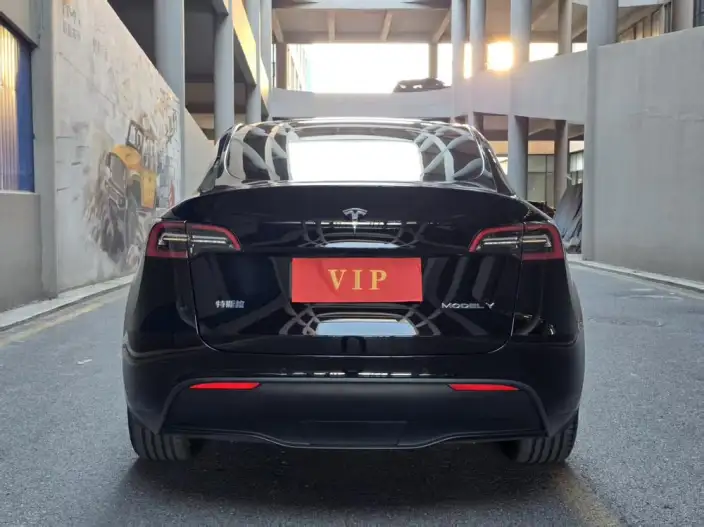 Model Y 2022 Model Facelift Rear-wheel drive version – фото 5