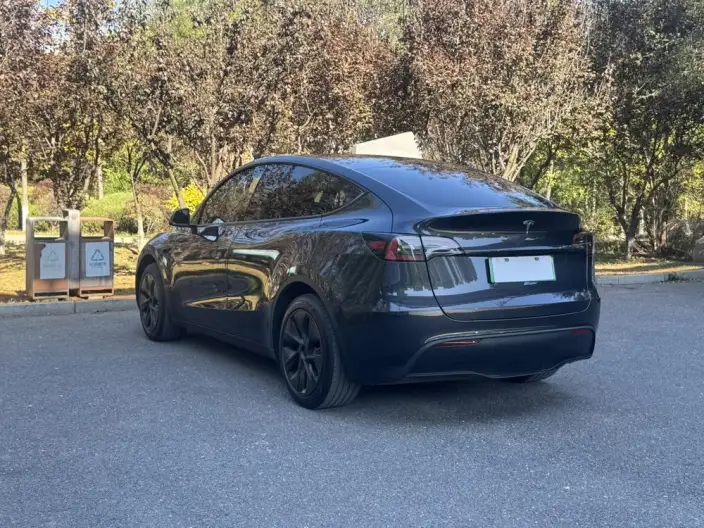Model Y 2024 Model Rear-wheel drive version – фото 5