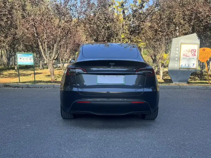 Model Y 2024 Model Rear-wheel drive version – фото 6