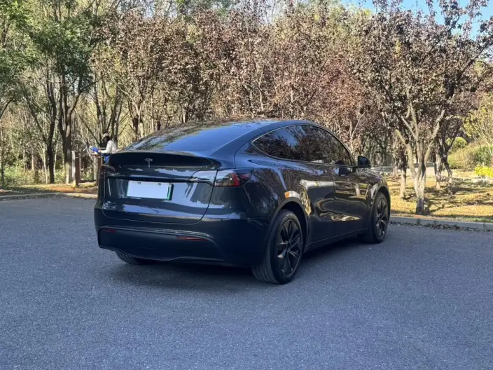 Model Y 2024 Model Rear-wheel drive version – фото 7