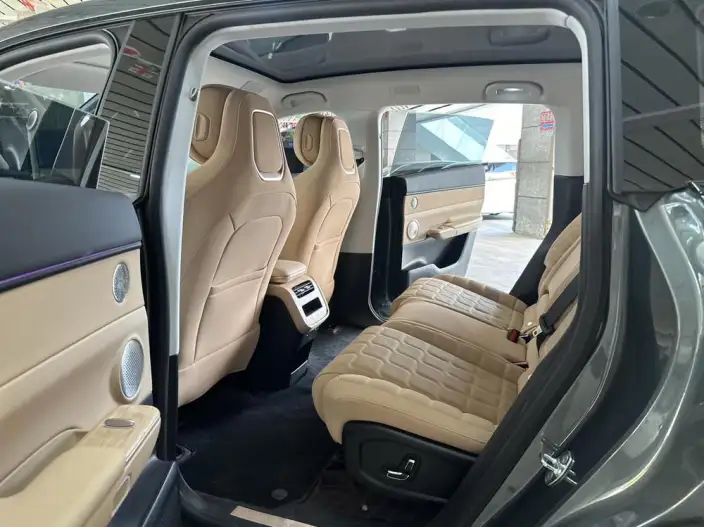 Exeed Sterra ET 2024 Model Extended Range Edition Pro – фото 9