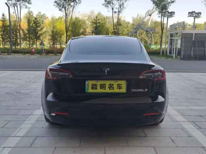 Model 3 2022 Model Performance High performance All-wheel drive version – фото 5