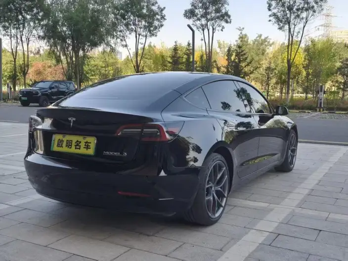 Model 3 2022 Model Performance High performance All-wheel drive version – фото 6