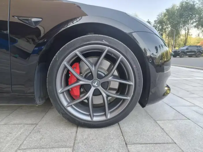 Model 3 2022 Model Performance High performance All-wheel drive version – фото 8