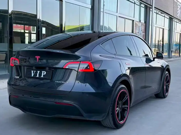 Model Y 2024 Model Rear-wheel drive version – фото 6