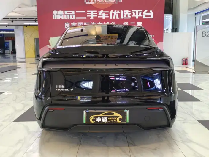Model Y 2025 Model Rear-wheel drive version – фото 5