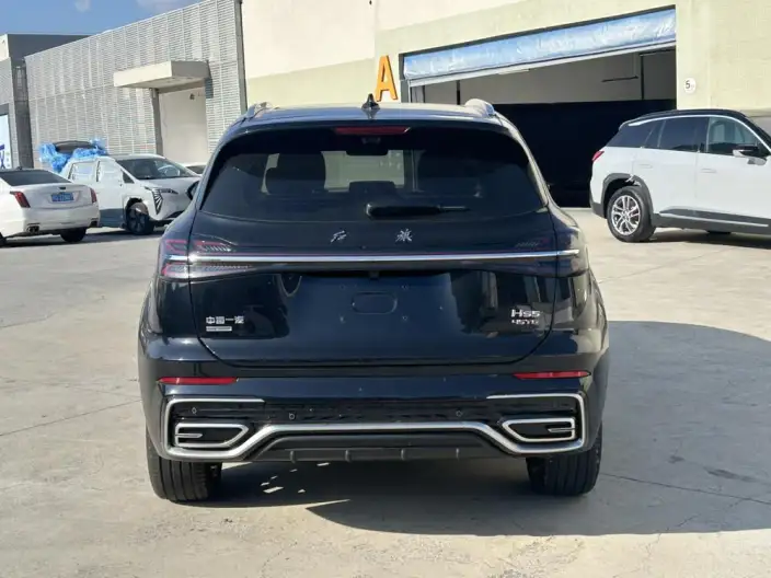 Hongqi HS5 2025 Model 2.0T 4WD Flag Xiang Pro Edition – фото 5