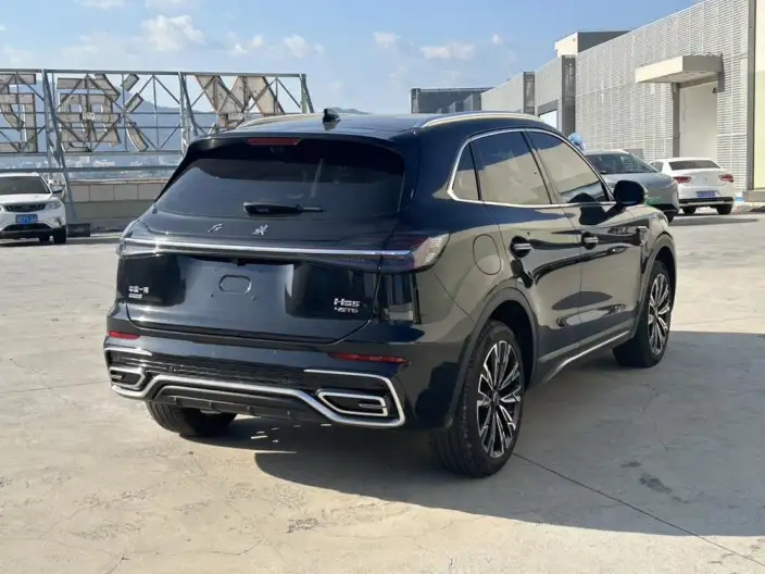 Hongqi HS5 2025 Model 2.0T 4WD Flag Xiang Pro Edition – фото 6