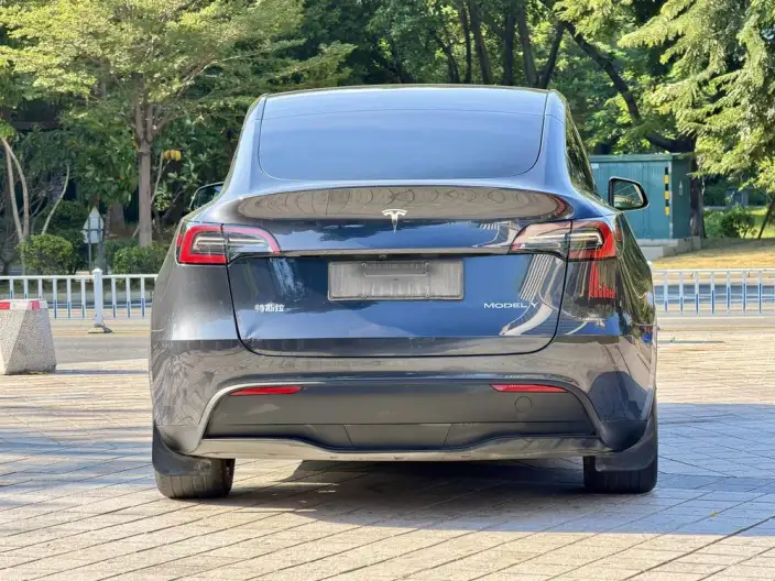 Model Y 2024 Model Rear-wheel drive version – фото 5