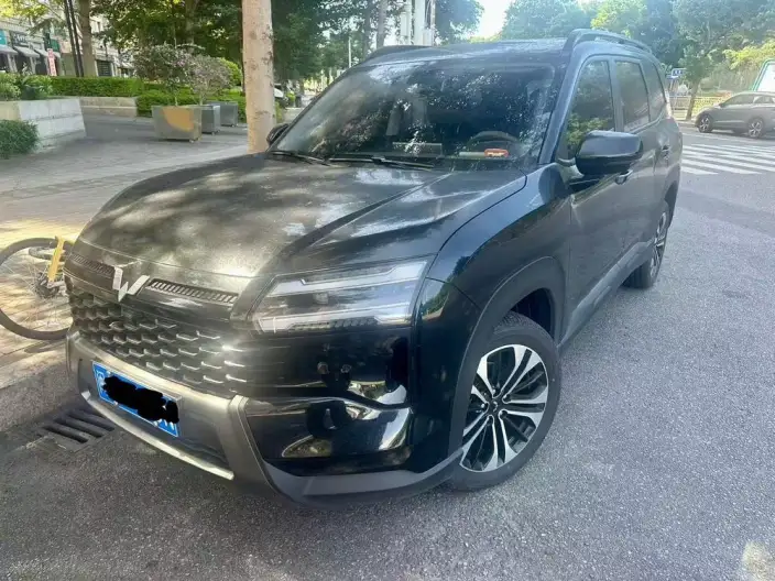 Xingguang 560 2026 Model 1.5T CVT Elite Model
