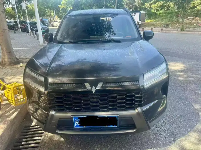 Xingguang 560 2026 Model 1.5T CVT Elite Model