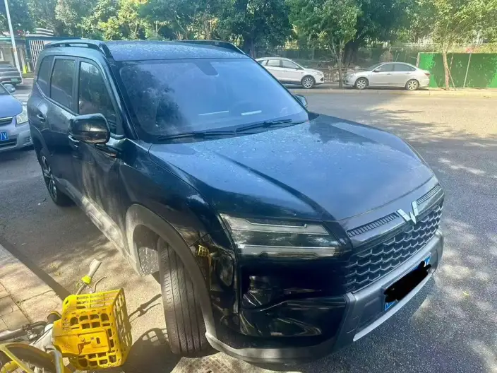 Xingguang 560 2026 Model 1.5T CVT Elite Model