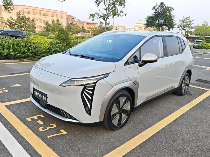 AION Y 2023 Model Plus 610 Lexiang Edition Ternary lithium – фото 1