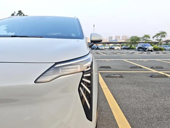 AION Y 2023 Model Plus 610 Lexiang Edition Ternary lithium – фото 8