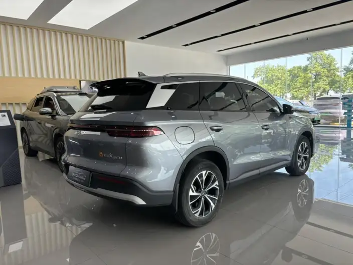 BYD Song Pro DM 2025 Model DM-i 71km Leading Model – фото 6