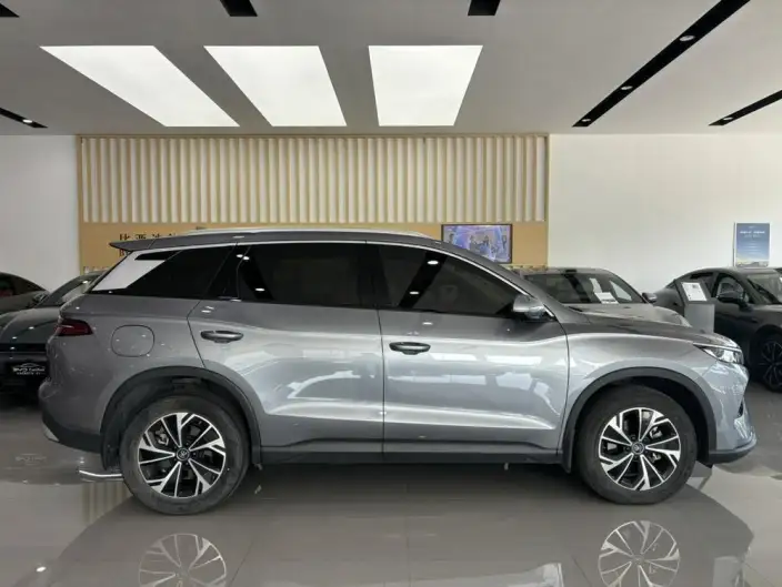 BYD Song Pro DM 2025 Model DM-i 71km Leading Model – фото 7