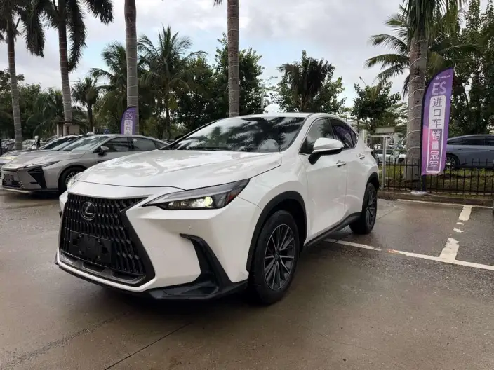 Lexus NX 2023 Model 260 Qian Drive Innovation Drive Edition