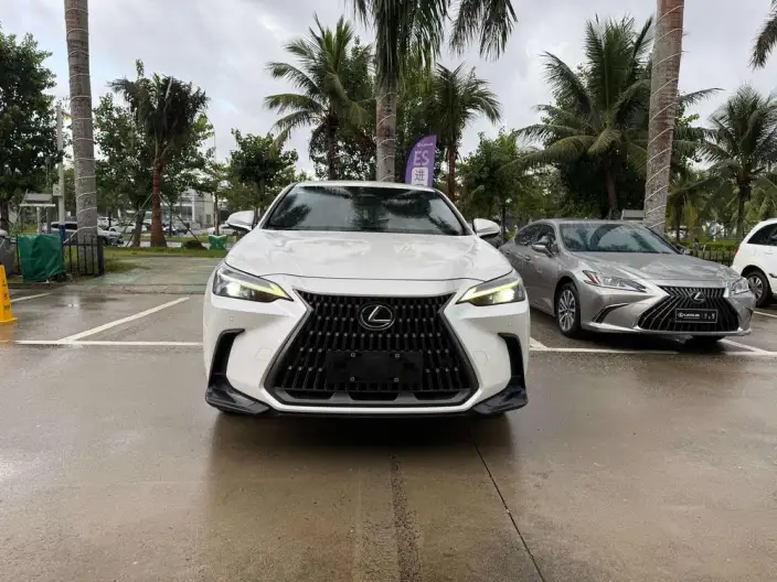 Lexus NX 2023 Model 260 Qian Drive Innovation Drive Edition