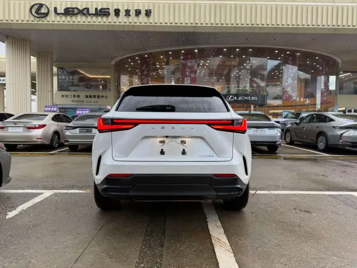 Lexus NX 2023 Model 260 Qian Drive Innovation Drive Edition