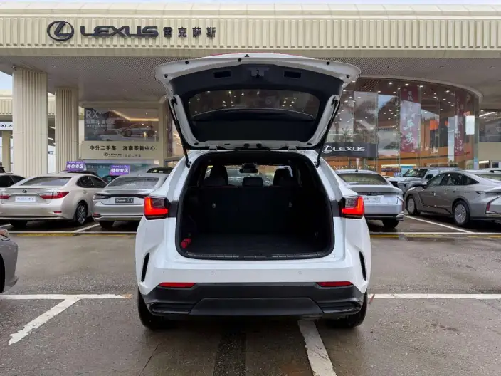Lexus NX 2023 Model 260 Qian Drive Innovation Drive Edition – фото 6