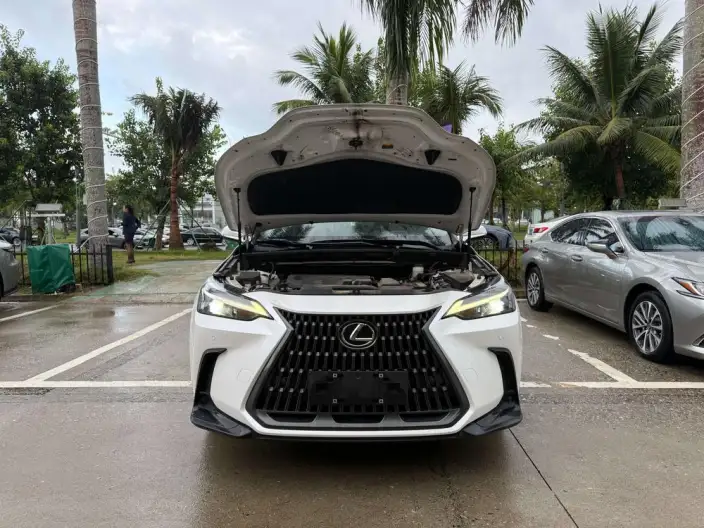 Lexus NX 2023 Model 260 Qian Drive Innovation Drive Edition – фото 7