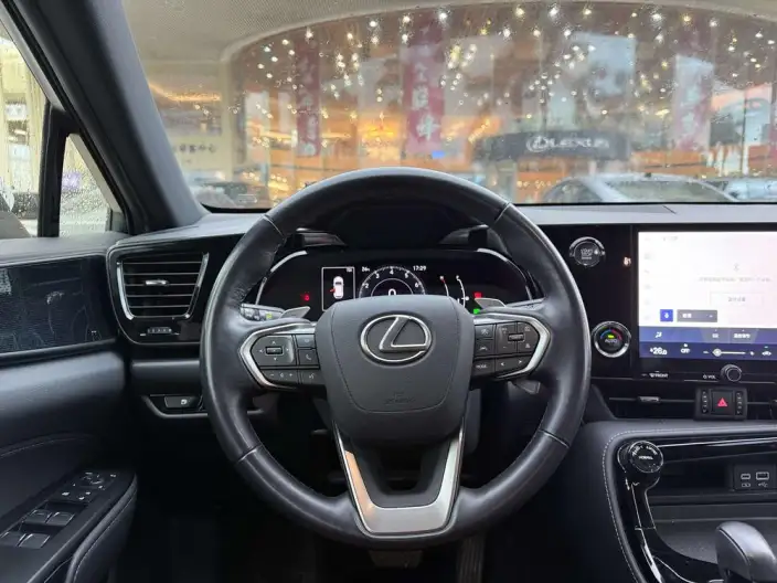 Lexus NX 2023 Model 260 Qian Drive Innovation Drive Edition – фото 10