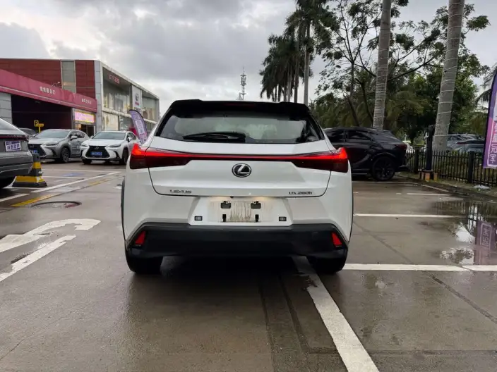 Lexus UX 2022 Model 260h Tan · Cool Edition