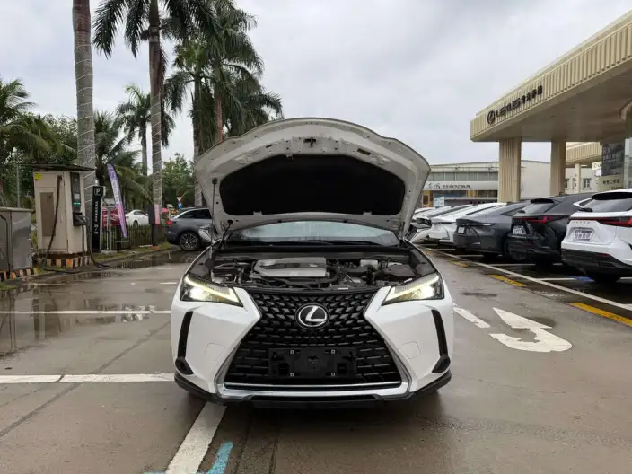 Lexus UX 2022 Model 260h Tan · Cool Edition – фото 5