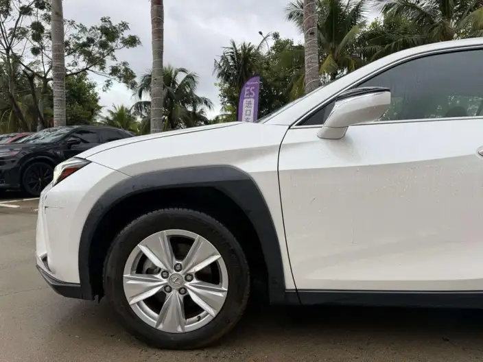 Lexus UX 2022 Model 260h Tan · Cool Edition – фото 6