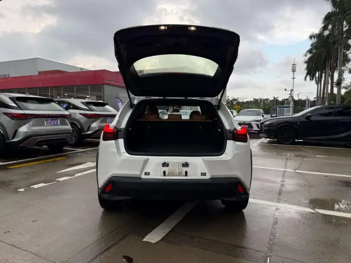 Lexus UX 2022 Model 260h Tan · Cool Edition – фото 7