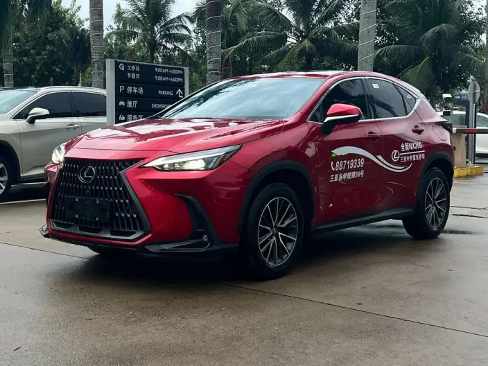 Lexus NX 2025 Model 200 Qian Drive FUN