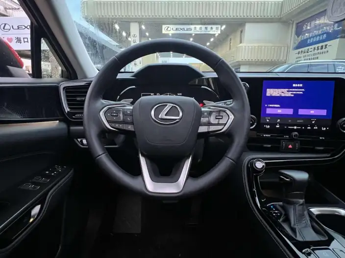 Lexus NX 2025 Model 200 Qian Drive FUN – фото 9