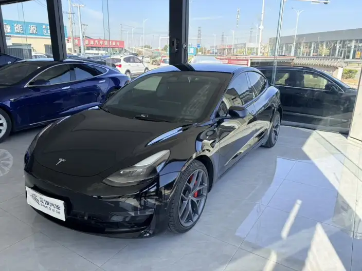 Model 3 2022 Model Performance High performance All-wheel drive version – фото 1