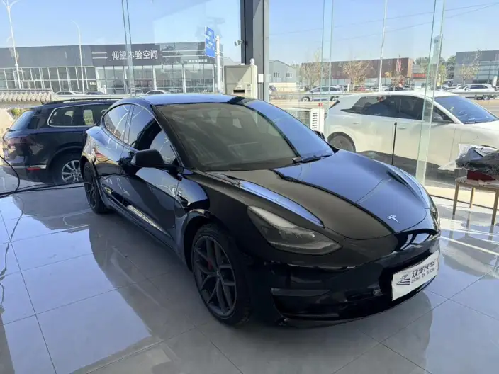 Model 3 2022 Model Performance High performance All-wheel drive version – фото 3
