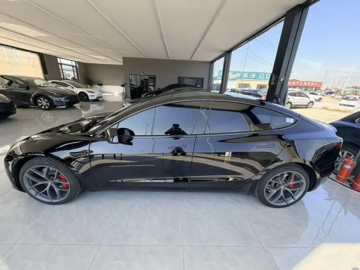 Model 3 2022 Model Performance High performance All-wheel drive version – фото 4