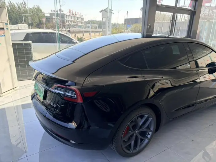 Model 3 2022 Model Performance High performance All-wheel drive version – фото 5