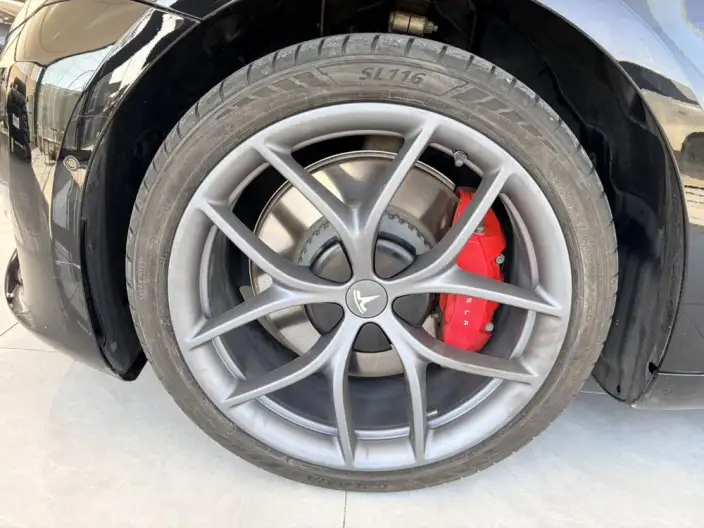 Model 3 2022 Model Performance High performance All-wheel drive version – фото 6