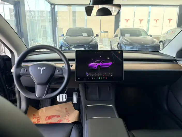 Model 3 2022 Model Performance High performance All-wheel drive version – фото 7